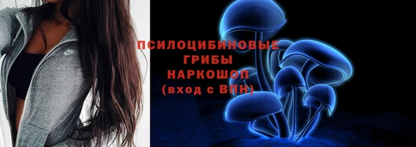прущие грибы Лихославль