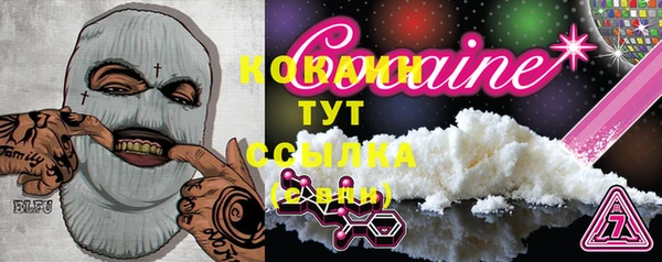 прущие грибы Лихославль