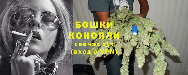 прущие грибы Лихославль