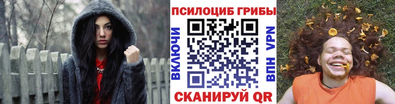 Галлюциногенные грибы мицелий  Купить где  Козловка 